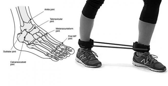 Best ankle resistance band exercised