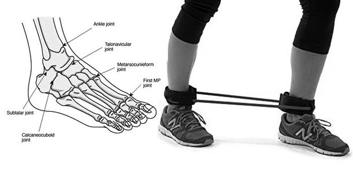 Smederij Rond en rond Ik geloof 10 Best Ankle Resistance Band Exercises | Fitdeft